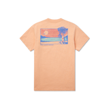 Washed Sherbet