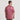 Rhubarb Pointer | On Model Back