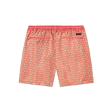 Coral | Back