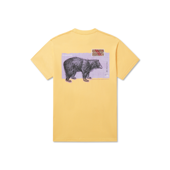 Squash | Expedition Series Tee | Black Bear