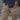 Khaki | LS