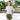 Olive Green | Rachel Relaxed Shorts | Womens Shorts | Lifestyle